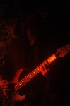 Thumbs/tn_Bild 485.jpg
